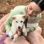 Kim Yi-kyeong Instagram - ⠀ 지아로서, 초영이로서 연기할 수 있어서 정말 행복했습니다. 평생 잊지 않고 행복한 추억으로 종종 꺼내볼래요 🤍 안녕 🌹 #오늘도사랑스럽개 #agooddaytobeadog #지아 #초영 #mbc #netflix #wavve