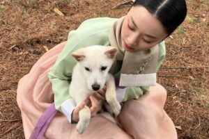 Kim Yi-kyeong Instagram - ⠀
지아로서, 초영이로서 연기할 수 있어서 정말 행복했습니다.
평생 잊지 않고 행복한 추억으로 종종 꺼내볼래요 🤍
안녕 🌹
#오늘도사랑스럽개 #agooddaytobeadog #지아 #초영 
#mbc #netflix #wavve