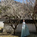 Kim Yi-kyeong Instagram - ⠀ 지아로서, 초영이로서 연기할 수 있어서 정말 행복했습니다. 평생 잊지 않고 행복한 추억으로 종종 꺼내볼래요 🤍 안녕 🌹 #오늘도사랑스럽개 #agooddaytobeadog #지아 #초영 #mbc #netflix #wavve