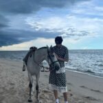 Kim Young-dae Instagram - 🐶🐷🐰Hua Hin #Thailand