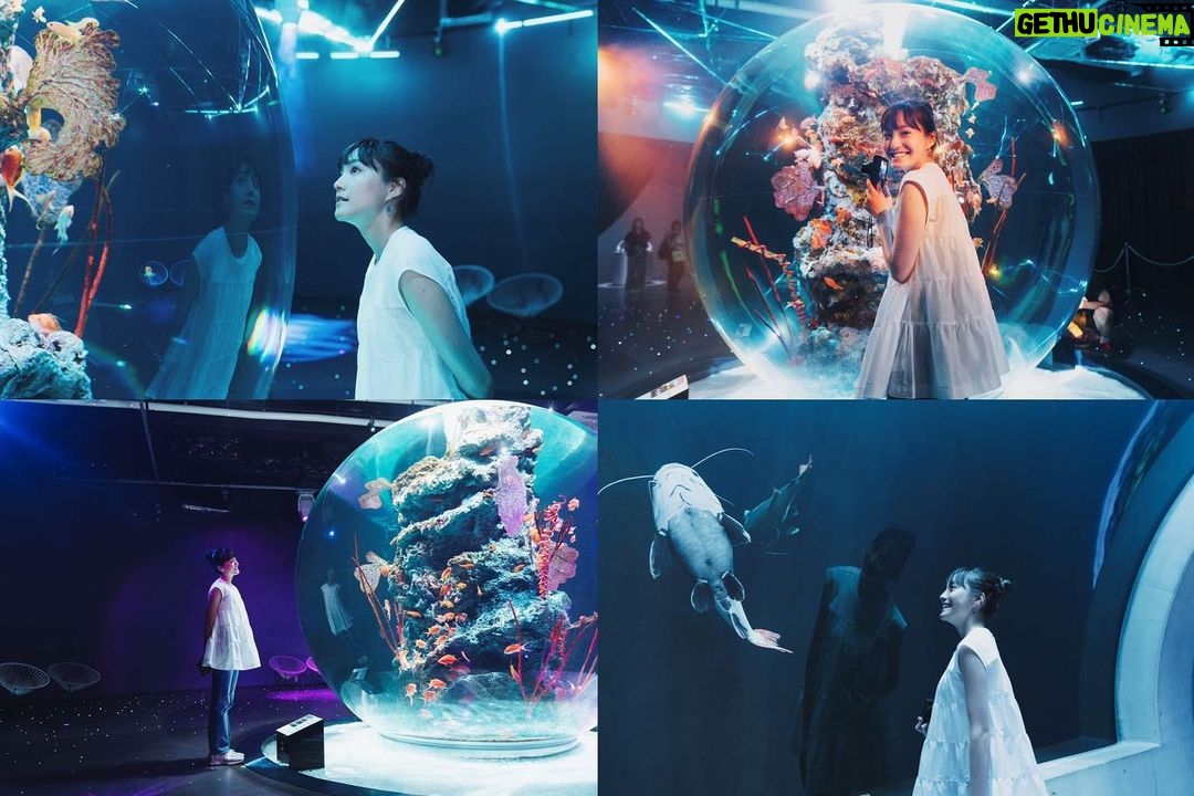 Kimi Chen Instagram - ♥ 這趟阪神行除了看參訪阪神甲子園球場外,還買了阪神電車的一日券遊玩大阪跟神戶,相當方便與節省車資,想去哪裡就可以去哪裡。! 首先先去了我個人特別特別喜歡的景點—átoa水族館!我是一個很愛海洋世界的人,所以這次要去átoa水族館,讓我興奮不已!可惜我們那天的天氣不是很好,下了一些毛毛雨,如果天氣好的時候,水族館外面真的是拍照絕佳的地點!因為átoa水族館外面就是海,所以在戶外跟樓上拍照都很合適! 水族館內更是讓我大開眼界,因為átoa水族館是以水族館為核心,結合舞台藝術和數位藝術,所以它根本就是劇場型的水族館,到處都好適合拍照留念,哪裡拍哪裡好看!átoa設置了不同的夢幻空間,像是洞穴、精靈森林和外太空等等,共有四層讓你慢慢看慢慢逛,還可以近距離看可愛的企鵝跟水獺,餐點也超可愛的。在那裡我還遇到了可愛的新朋友☺️ 心滿意足的逛完了水族館,接著我們到阪神御影站換公車搭乘六甲纜車。那個纜車的造型有夠可愛的,超級復古的,連車站都很復古!而且有開放的車廂,可以讓你感覺很貼近自然,很舒服。但就像我前面所說的,因為那天的天氣很不給力,所以沒能拍到漂亮的照片,但我還是感受到了山上森林的氣息,是很舒服的纜車之旅!聽說每年6月中旬,那邊就會被滿滿的繡球花包圍著,大家可以在那個時候去看看喔! 到達六甲山上駅後,我原本很擔心這會不會交通很不方便,結果完全不用擔心,因為那邊有專門的shuttle bus可以載你到不同的地點,相當方便!同時也不用擔心吃的部分,上面有一個天覽咖啡廳可以吃午餐,而且還可以看風景,但是很可惜因為天氣因素我沒看到,所以我就跟我的義大利麵互相相看😂(好好吃喔,好久沒有吃日本的拿坡利義大利麵😍)看不到美景的我,需要一個甜點來安撫我的心呀😋 接著我們用六甲山上巴士移動到體育運動公園GREENIA(グリーニア)。這裡太適合給小朋友和愛運動的人們了!好多好玩的遊戲設施,讓你好好的運動!愛運動的我都覺得玩到很累,但是真的很好玩!它共有七大塊的區域,如果你購票進入 GREENIA遊具,但是!請記住!空中區域的 mecya forest 及 zip slide 兩項活動是需要額外預約及購票的喔!一天之內就有這麼多地方可以玩,我沒辦法跟你們保證一天之內能不能玩完🤣 但是可以跟你們保證的是每一個區域都真的很好玩👍🏻另外冬天這裡就會變雪之樂園可以滑雪唷! 玩完後我們到了自然體感展望台 — 六甲枝垂。這裡是由日本知名建築師三分一博志設計的,他以樹木垂下來的意象而打造出來的網狀結構展望台,就像一棵大樹的裝置藝術,非常有特色壯觀!這個展望台裡面是可以進去的,順著漩渦的檜木建築構造走下去的,非常特別的體驗。那裡有個很特別的東西,那就是有一顆顆大大小小顏色不同的飯糰!他們是「結緣」的飯糰,你可以挑選你覺得和自己有緣的飯糰,然後繞着展望台走一圈,你就成功「結緣」了喔!也有戀愛籤可以去玩玩喔! 身心靈都被療癒後,就覺得好餓呀~ 我們晚上就在山上的Granite Café用餐,這裡可是可以欣賞「千萬夜景」的咖啡廳喔!怎麼說呢?據說從六甲山上可以看見將近500萬顆燈泡,所以這裡的夜景更是被稱作是日本三大夜景之一呢!其實我們在用餐的時候天氣還沒有很好,但是當我們正要離開的時候,居然烏雲全部都慢慢散開了!真的好幸運,讓我看到了美麗的夜景。真的可以說很值得為了那個美麗的夜景去Granite Café一趟🥹 一整天很充實的行程就此結束!再次謝謝邀請,讓我的肚子跟身心靈都被好好的療癒到了❤️ 我真的非常推薦大家來此看看,可動可靜的行程都很適合家庭或情侶來喔!✨ Photographer: @leemengting0527 #阪神電車 #átoa水族館 #六甲山 #greenia #グリーニア #granitecafe