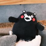 Kimi Chen Instagram - ♥ 前幾天都在第一次去的熊本，覺得很新鮮很有趣。也遇到很多很可愛的人們，回來台灣也遇到很多很棒的人們，有很多的小確幸。 今天是感恩節，要感謝的事情跟人們好多好多。 我們人生中是有很多事情是要感恩的，很多幸福都在轉角等著你的，請相信這點✨ 在這些小確幸中，其中一個很讓我印象深刻的一句話是： 「哇，小姐你的眼睛好漂亮！」 That totally made my day⭐️ · 先日初めて熊本に行きました。新しい環境でとても面白かったです。親切で可愛らしい人達にも出会え、台湾に帰ってきてからもいろんな素敵な人達に会えました。 今日は感謝祭の日。人生の物事に感謝する日です。私は日々感謝することの大切さを気付かされる日だと思っています。 人生は幸せなことがいっぱいです！だからいつも感謝の気持ちを忘れずに！ そしてたくさんの幸せな思い出の中で、一つ心に残ったことがあります。それはある日、知らない人に: 「綺麗な目をしていますね！」と言われたことです。 That totally made my day ⭐️ Camera: #fujifilm #fujifilmxs10 #happythanksgivng #bethankful #begrateful #bekind #behappy