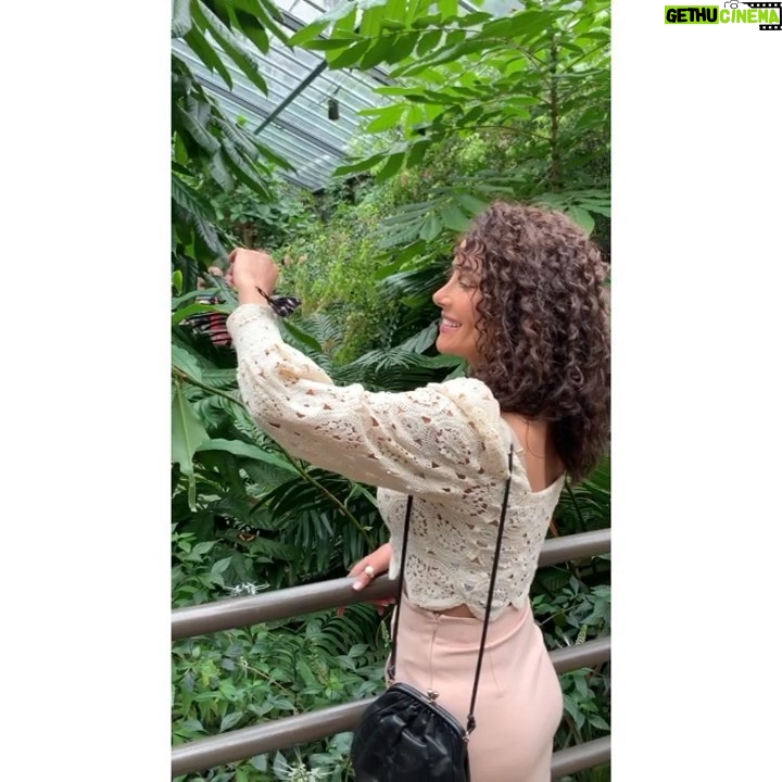 Kinda Hanna Instagram - ادي حلوين الفراشات 🦋 Melbourne Zoo