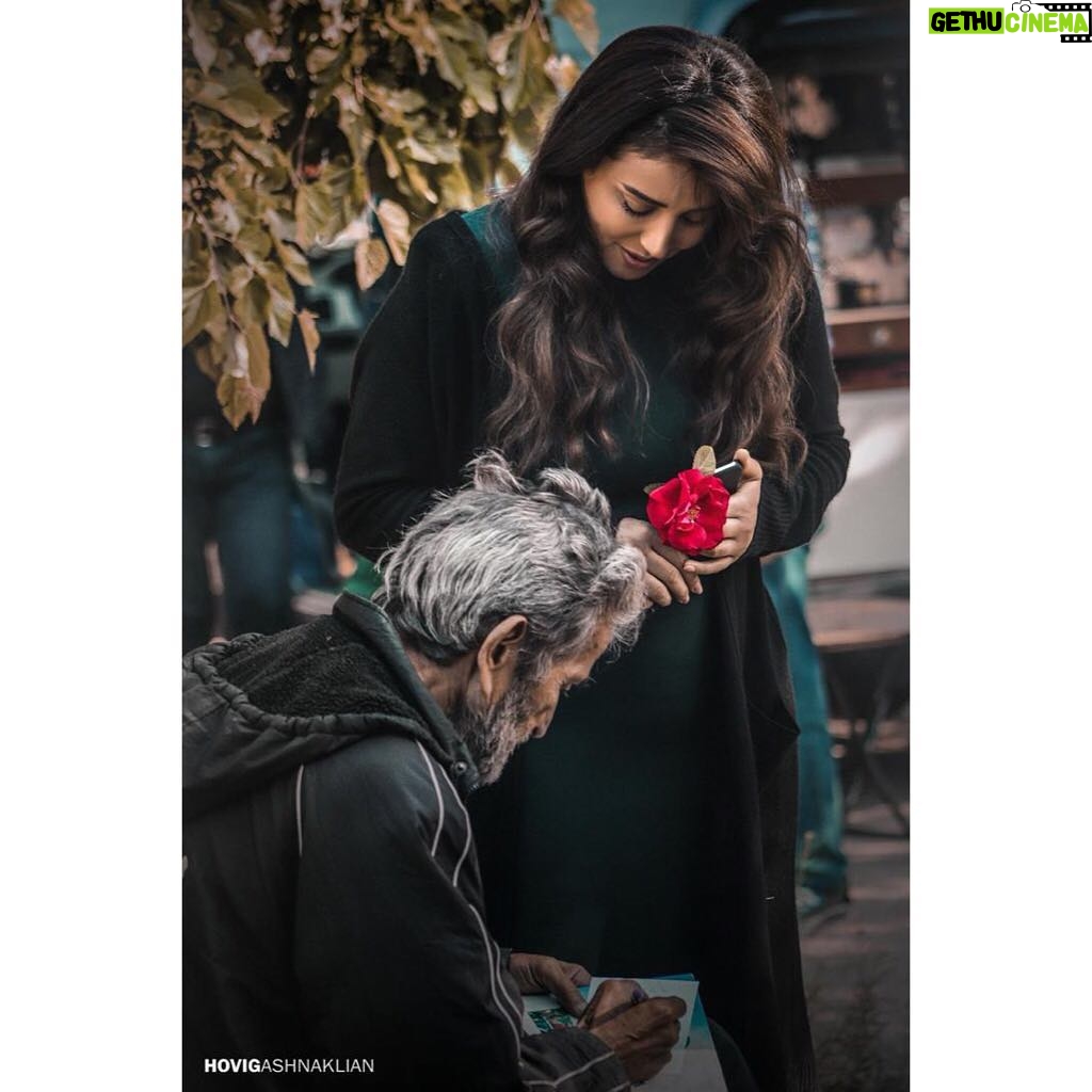 Kinda Hanna Instagram - 🌹 #morning #damascus_aleppo thanks @hov_22 ♥️ Aleppo, Syria