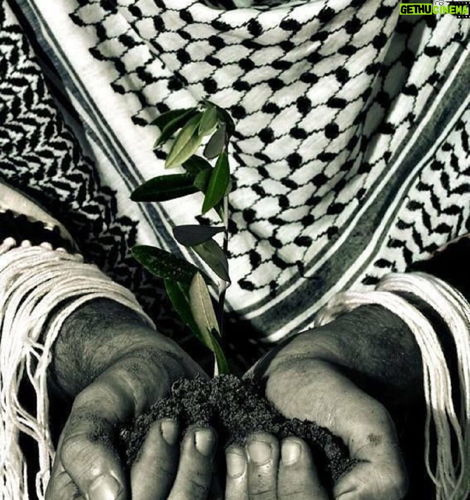 Kinda Hanna Instagram - سلاماً لارض خلقت للسلام ومارأت يوماً سلاماً …. #فلسطين #plestine🇵🇸 Syria