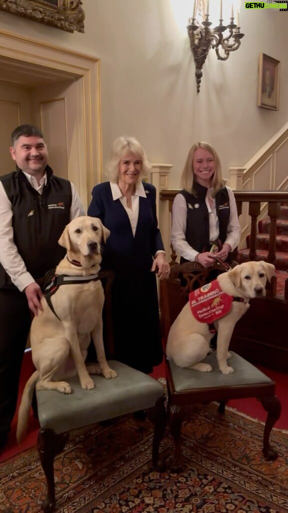 King Charles III of the United Kingdom Instagram - A pawfect day at Clarence House… 🐾 Her Majesty has welcomed guests and furry friends to Clarence House in celebration of 15 years of @medicaldetectiondogs. 🐶 The charity trains dogs to save lives using their amazing sense of smell. Medical Alert Assistance Dogs support people with complex health conditions like diabetes, PoTS and severe allergies when they are in danger of having a potentially life-threatening medical event, so they can take the necessary action and prevent hospital admission. Bio Detection Dogs are trained to detect diseases like cancers, Parkinson’s, COVID-19, malaria and bacterial infections on samples in the charity’s training room. 👏🌟 Thank you to these special dogs, and their remarkable trainers, for the extraordinary work that you do!