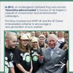 King Charles III of the United Kingdom Instagram – For more than five decades, The King has championed action for a sustainable future. 🌎

The King is in Dubai today ahead of the start of #COP28, where tomorrow His Majesty will address Heads of State, Heads of Government and delegates at the Opening Ceremony of the UN Climate Action Summit.
 
Swipe through to hear more about His Majesty’s longstanding work to encourage climate action. 👉