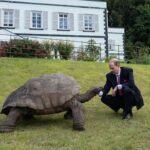 King Charles III of the United Kingdom Instagram – The Duke of Edinburgh is in St Helena! 🇸🇭

🐢 HRH was welcomed to one of the most remote inhabited islands by Jonathan the Tortoise, who, at 191 years old, is the oldest living land animal in the world!

Born in the reign of William IV, the Seychelles giant tortoise has lived through seven British monarchs, with King Charles III becoming the eighth monarch of his lifespan so far.

⬅️ HRH is not the first Member of the Royal Family to have met Jonathan, who previously spent time with King George VI, Queen Elizabeth The Queen Mother, Queen Elizabeth II (when she was Princess Elizabeth) and Princess Margaret in 1947.

During his time on the island so far, The Duke has also…

⛰️ Viewed the spectacular sights of Jacob’s Ladder, a 699-step staircase that leads to Ladder Hill Fort.

👋 Met members of the local community at Grand Parade.

🧑‍⚕️ Heard about the important role that the Princess Royal Community Care Centre plays for local residents and saw the Centre’s cornerstone, which was laid by The Princess Royal during her visit in 2002!

Head to royal.uk (link in bio) to read more about HRH’s time on the island so far!