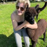 Kiri Pritchard-McLean Instagram - This time last week we were slathering on the sun cream and tramping about the Vale of Glamorgan ☀️🍂 #valeofglamorgan #bromorgannwg #alpacas #beach #sea #coast #wine #winetasting #publunch #sun #september #travel #adventure #wales #cymru #tourism #monknash #llanerchvineyard #gilestonmanor #seaswimming