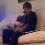 Kit Connor Instagram - Dogs.