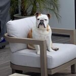 Klay Thompson Instagram - Rocco dump , mans best friend no 🧢