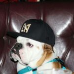 Klay Thompson Instagram - Rocco dump , mans best friend no 🧢