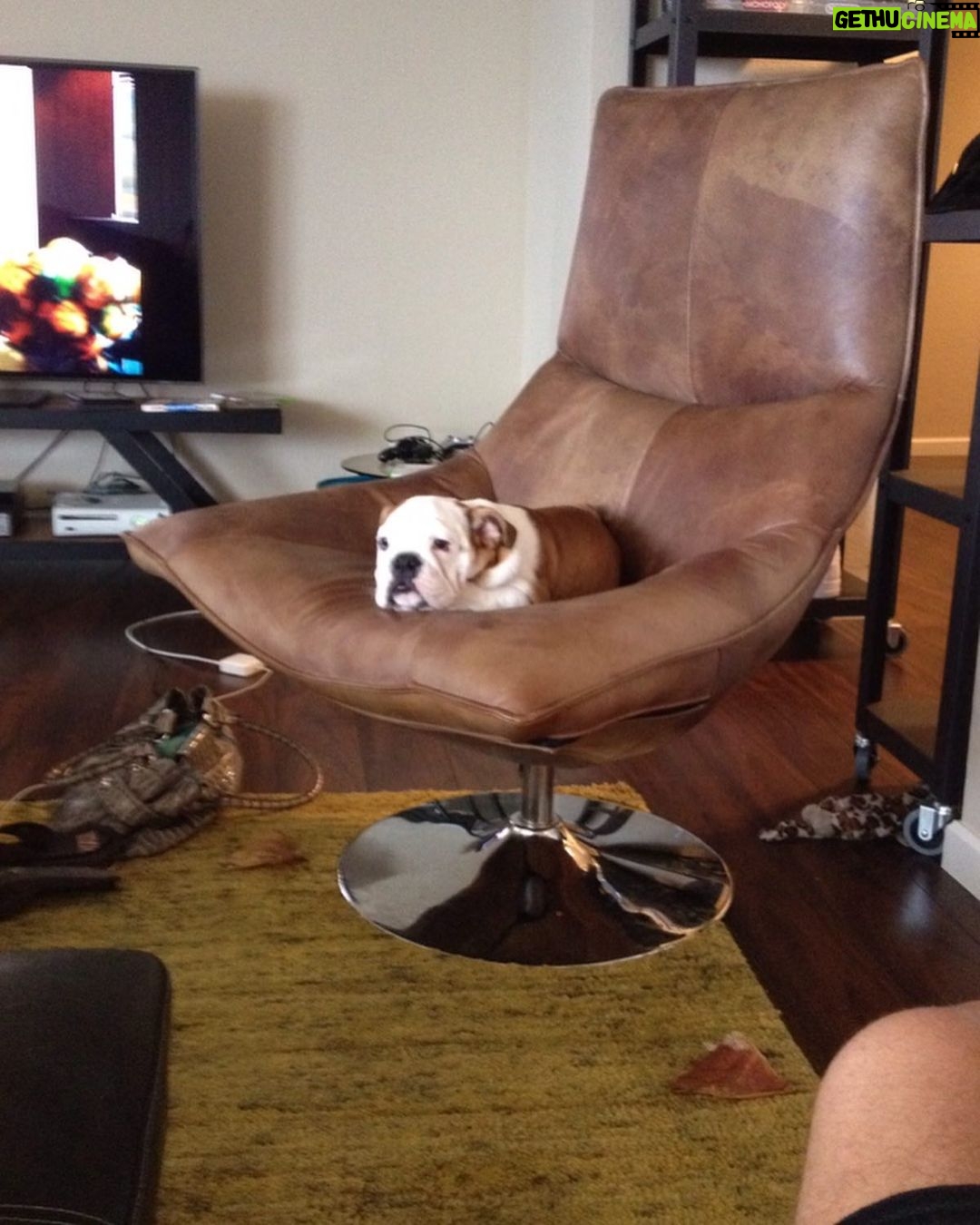 Klay Thompson - 392K Likes - Rocco dump , mans best friend no š§¢