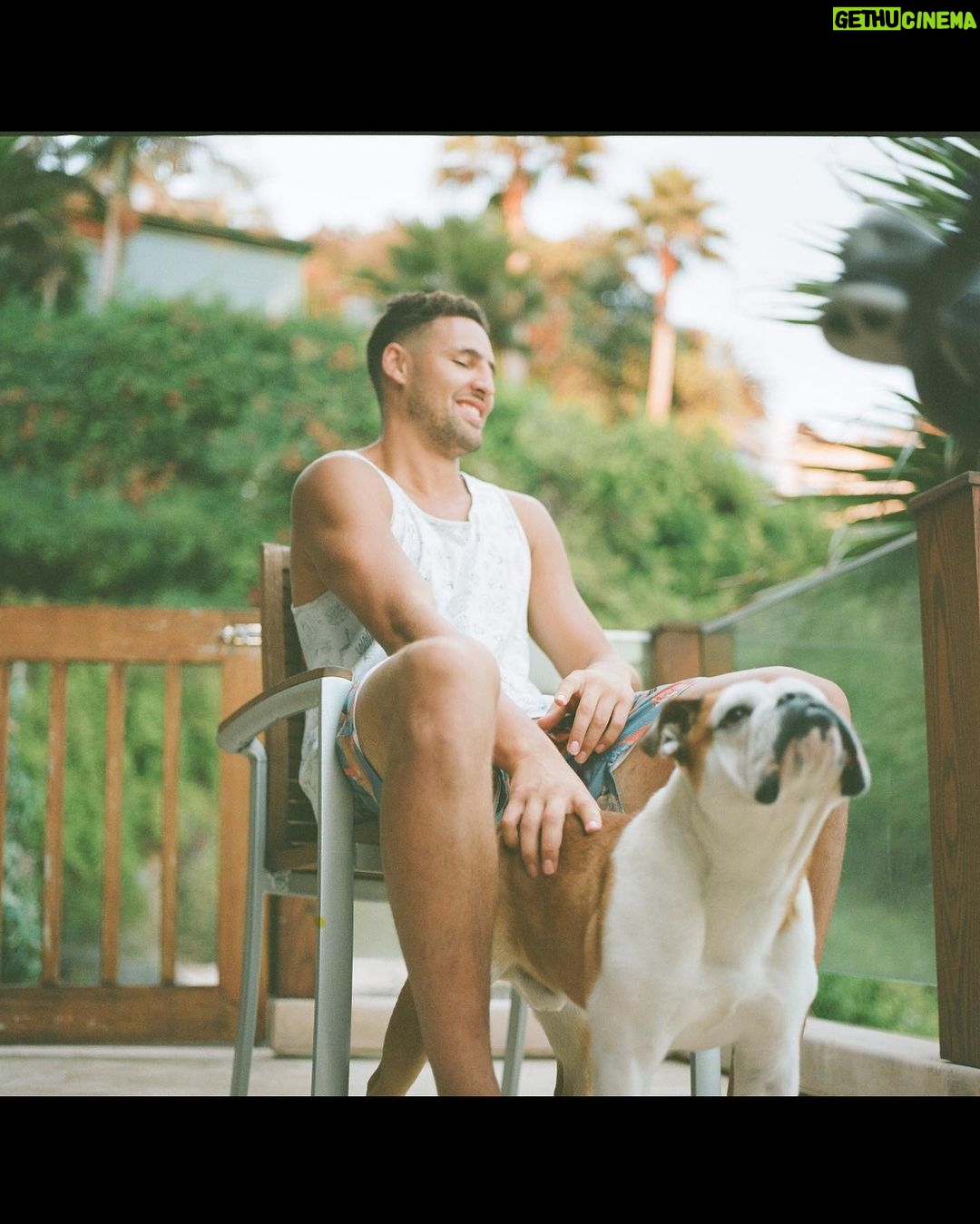 Klay Thompson - 392K Likes - Rocco dump , mans best friend no š§¢