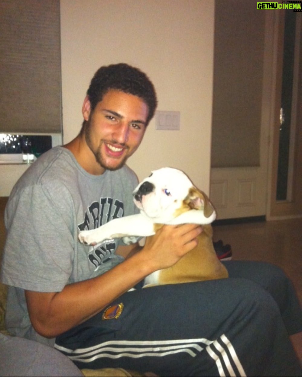 Klay Thompson - 392K Likes - Rocco dump , mans best friend no š§¢
