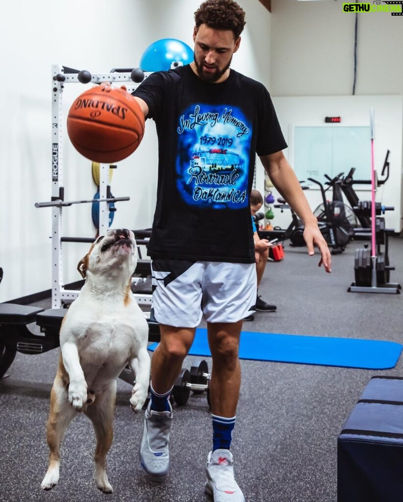 Klay Thompson Instagram - A couple of gym rats 🚵‍♀️ 🏀 🐀 #riseandgrind #airbud 📸: @thepeopleloveit