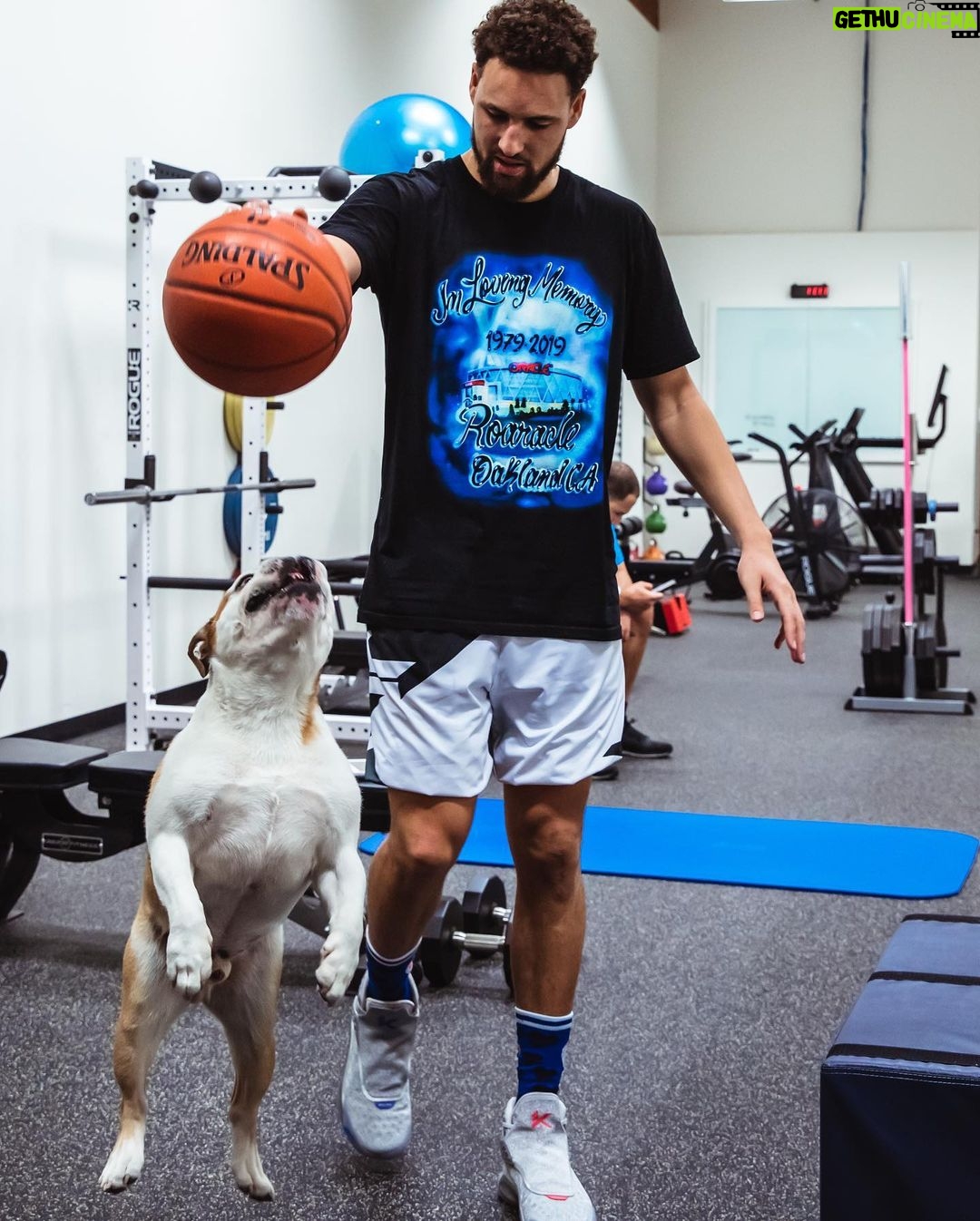 Klay Thompson Instagram - A couple of gym rats 🚵♀️ 🏀 🐀 #riseandgrind #airbud 📸: @thepeopleloveit