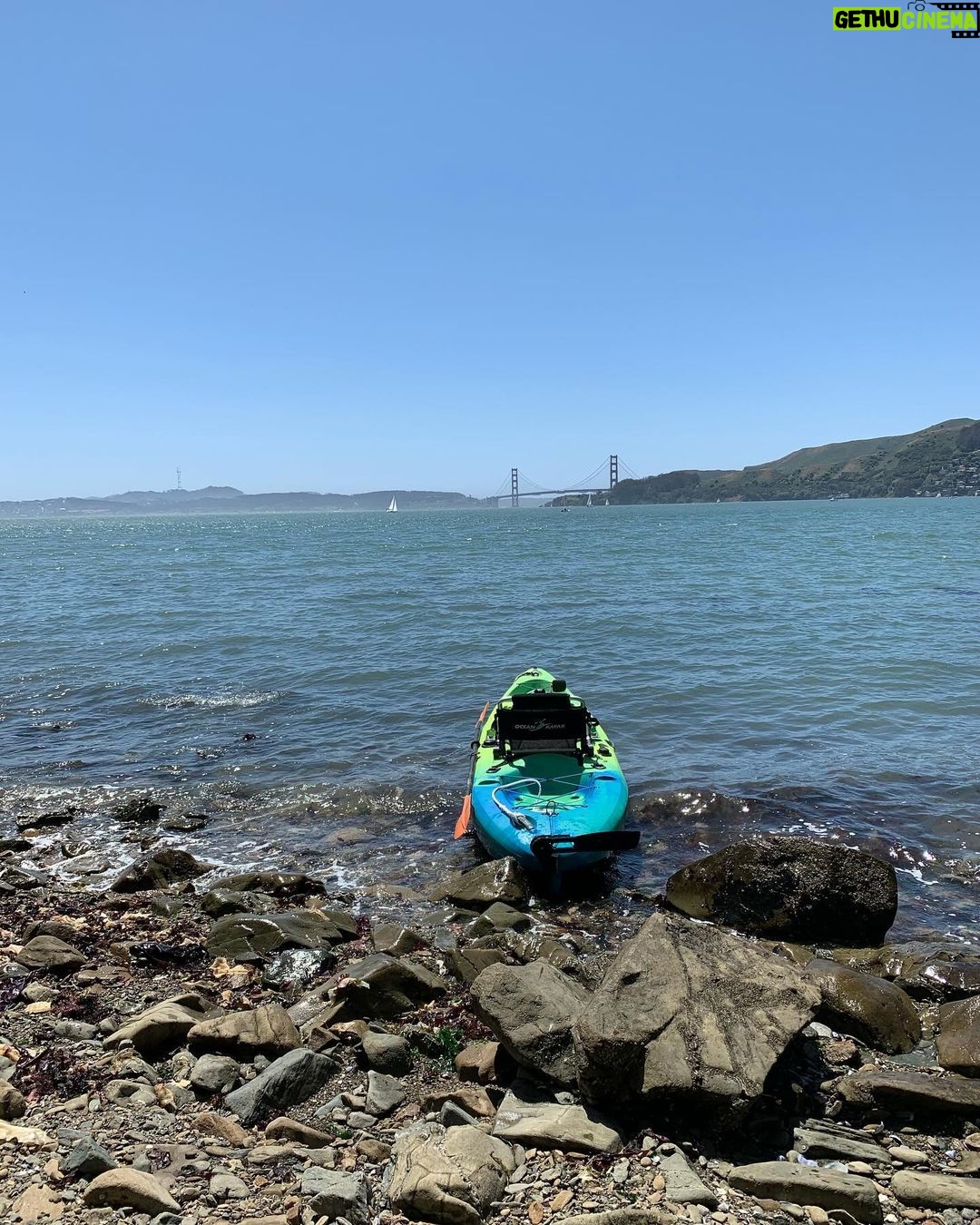 Klay Thompson Instagram - I’m so grateful for the ocean and all of her inhabitants 🦭 #seacaptain