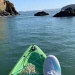 Klay Thompson Instagram - I’m so grateful for the ocean and all of her inhabitants 🦭 #seacaptain