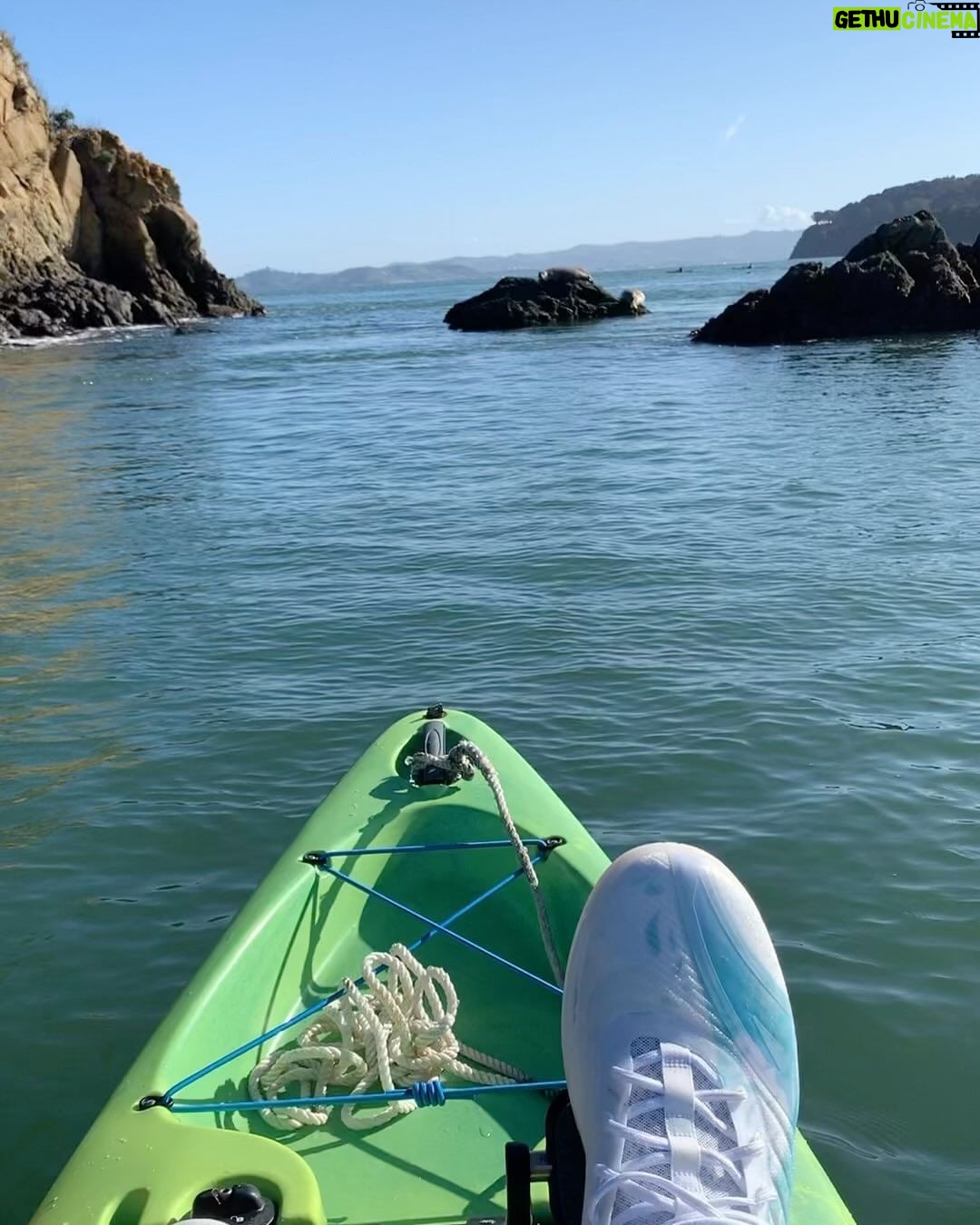 Klay Thompson Instagram - I’m so grateful for the ocean and all of her inhabitants 🦭 #seacaptain