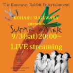 Koharu Sugawara Instagram - SUGAR WATER LIVE STREAMING 🥕Link in my bio🥕