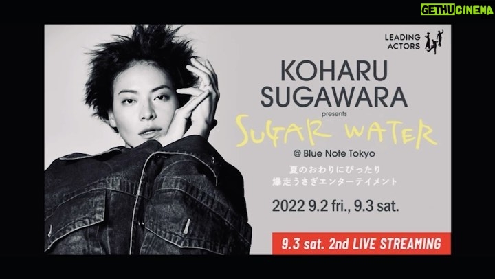 Koharu Sugawara Instagram - SUGAR WATER 〜夏の終わりにぴったり爆走うさぎエンターテイメント〜 @bluenotetokyo で5年ぶりの公演させていただきます ありえないぐらいおどります もういいやってぐらいずっとおどります 見に来た人全ての人に爆走で踊り狂います 演奏は、わたしのアイドル チーナさんとおねえちゃんです 一からピカピカに音楽つくって ならしつづけます 夏の終わりにきっとぴったりです チケットはプロフィールからよろしくお願いします。 是非!お待ちしております。 ひなちゃん、ビデオありがとう。 ぴょん