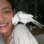 Koharu Sugawara Instagram - ぴーちゃん