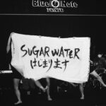 Koharu Sugawara Instagram - SUGAR WATER 〜爆走うさぎエンターテイメント〜 SUPER THANKS編 @bluenotetokyo Make @sadaito Hair @kenichiforsenseofhumour @shotaro.ao Styling @takayanoshare Dress @gucci Photo @ryoma_kawakami