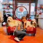 Konomi Suzuki Instagram - 🐩🐩🐩 4月8日(土) 恵比寿THE GARDEN HALL 「鈴木このみ コンサート ～Special Symphony～ 」 一般発売が始まりました🎻 S席完売、A席 8,500円、B席 7,500円 ▶︎▶︎▶︎ https://www.konomi-suzuki.net/posts/news/tmtvoq 歌声がより際立つ編成、全曲この日だけのアレンジでお届けします。 初めてのシンフォニーコンサート、一緒に楽しんでもらえたら❤️‍🔥