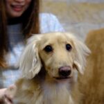 Konomi Suzuki Instagram - 良き思い出がいっぱい🌟 （photo by 若林豪） blog更新したよ✏️ 「アジアツアー台湾公演!!!」 https://lineblog.me/suzukikonomi/archives/13321970.html