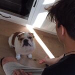 Konstantin Beloshapka Instagram -
