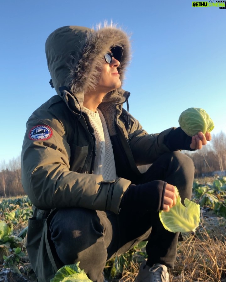 Konstantin Beloshapka Instagram - shearing cabbage with @verakinch