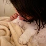 Konstantina Kommata Instagram - Παγκόσμια ημέρα αδέσποτων ζώων σήμερα και ένα κεφαλοκλείδωμα αγάπης στο δικό μου πρώην αδεσποτάκι!! Αυτός εδώ είναι ο γατούλης μας... Ναι, το όνομα του είναι γατούλης μιας και όταν τον είχαμε βρει σε ένα χωριό της Κρήτης να χτυπάει με περίσσεια υπομονή και επιμονή το τζάμι (βλέπε φώτο 2,3) της ταβέρνας που καθόμασταν είχαμε πει πως θα τον κρατήσουμε μέχρι να του βρούμε σπίτι... Αποφασίσαμε λοιπόν να μη του δώσουμε κάποιο όνομα αλλά να τον φωνάζουμε γατούλη για όσο θα τον φιλοξενούμε!!! Αμ δε.... ο έρωτας ήταν αμοιβαίος και έτσι μεγάλωσε την οικογένεια μας και ομορφαίνει την κάθε μας ημέρα 2 χρόνια και κάτι τώρα ... Το "γατούλης" τελικά μας έμεινε μιας και όσα ονόματα και αν προσπαθήσαμε να του δώσουμε τα απαρνιότανε κατηγορηματικά!!! Γατούλη μας σε ευχαριστούμε που μας διάλεξες 🙏🏻♥️ Δώστε μια ευκαιρία στα αδεσποτάκια και θα δείτε ότι η αγάπη που θα πάρετε πίσω θα σας κάνει απλά να χαμογελάτε στην όποια αμφιβολία είχατε πριν!!!