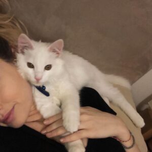 Konstantina Kommata Instagram - Παγκόσμια ημέρα αδέσποτων ζώων σήμερα και ένα κεφαλοκλείδωμα αγάπης στο δικό μου πρώην αδεσποτάκι!! 

Αυτός εδώ είναι ο γατούλης μας... Ναι, το όνομα του είναι γατούλης μιας και όταν τον είχαμε βρει σε ένα χωριό της Κρήτης να χτυπάει με περίσσεια υπομονή και επιμονή το τζάμι (βλέπε φώτο 2,3) της ταβέρνας που καθόμασταν είχαμε πει πως θα τον κρατήσουμε μέχρι να του βρούμε σπίτι... Αποφασίσαμε λοιπόν να μη του δώσουμε κάποιο όνομα αλλά να τον φωνάζουμε γατούλη για όσο θα τον φιλοξενούμε!!! Αμ δε.... ο έρωτας ήταν αμοιβαίος και έτσι μεγάλωσε την οικογένεια μας και ομορφαίνει την κάθε μας ημέρα 2 χρόνια και κάτι τώρα ... Το "γατούλης" τελικά μας έμεινε μιας και όσα ονόματα και αν προσπαθήσαμε να του δώσουμε τα απαρνιότανε κατηγορηματικά!!! Γατούλη μας σε ευχαριστούμε που μας διάλεξες 🙏🏻♥️ Δώστε μια ευκαιρία στα αδεσποτάκια και θα δείτε ότι η αγάπη που θα πάρετε πίσω θα σας κάνει απλά να χαμογελάτε στην όποια αμφιβολία είχατε πριν!!!