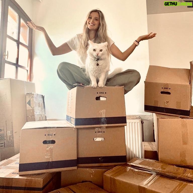 Konstantina Kommata Instagram - Let New Adventures Begin.. 📦💪🏻 _________________________________________________________🐱 #καποιοστρομοσσταματιατου #letsgetstarted