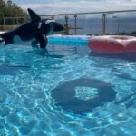Konstantina Kommata Instagram - Some days in June ! ☀️💦🍹