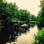 Koray Candemir Instagram - amsterdam, vondelpark #latergram