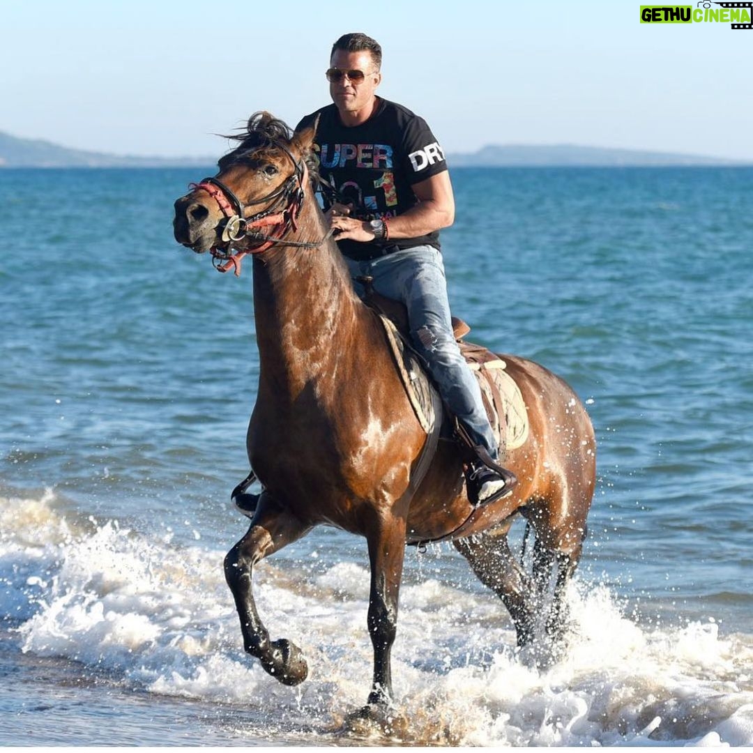 Kostas Sommer Instagram - if you ever let a horse whisper in your ear, and you feel its breath, if it ever comes close to you and you feel its power and love... it is not something that you will never forget, but something that will define you... #greeceisparadise #horses Greece