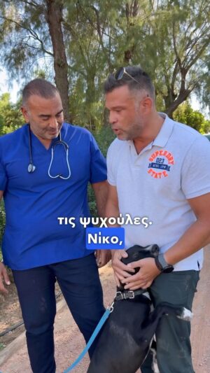 Kostas Sommer Instagram - Είναι πάντα μεγάλη μου χαρά να είμαι κοντά σε τέτοιου είδους δράσεις και ενέργειες. Συγχαρητήρια στον φίλο μου @nikoschrysoveridis και @leonidaskottis ,τον δήμο Παλαιού Φαλήρου και τη φιλοζωική οργάνωση @animalwelfarepfalirou . Οποίος μπορεί και θέλει να προσφέρει να έρθει σε επαφή με κάποιον από εμάς. Καλη τους επιτυχία και σαν δημοτικοί σύμβουλοι στο Παλαιό Φάληρο με τον @yiannisfostiropoulos και στο έργο που κάνουν. #metonsommer
