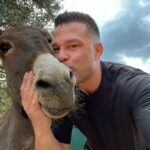 Kostas Sommer Instagram - Such a great experience to be here at @saveagreekstray to see animals that have suffered to be in such excellent condition in an environment where they get all their needs attended with so much love and devotion. Great to be here with @princess_maja_von_hohenzollern , how is fighting for animals, their rights, and is educating the youth with classes in schools to not have animal cruelty in future generations,… it was my honor to be here and be a part. Please support this cause, adopt animals, give them a home, and they will fill your house and family with love. Athens, Greece