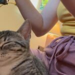 Kristen Gutoskie Instagram - Kitty concert jam sesh #milolovesmusic #sleepytunes