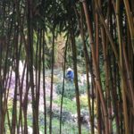 Kristen Gutoskie Instagram - Mother Earth magic ✨ Huntington Library & Botanical Gardens