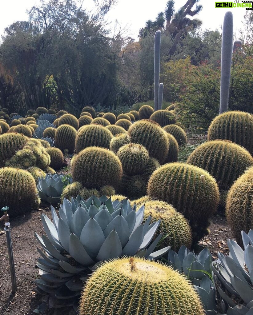 Kristen Gutoskie Instagram - Mother Earth magic ✨ Huntington Library & Botanical Gardens