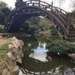 Kristen Gutoskie Instagram - Mother Earth magic ✨ Huntington Library & Botanical Gardens