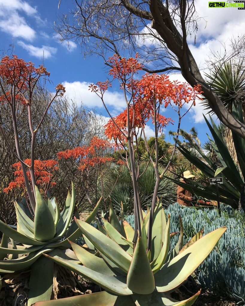 Kristen Gutoskie Instagram - Mother Earth magic ✨ Huntington Library & Botanical Gardens