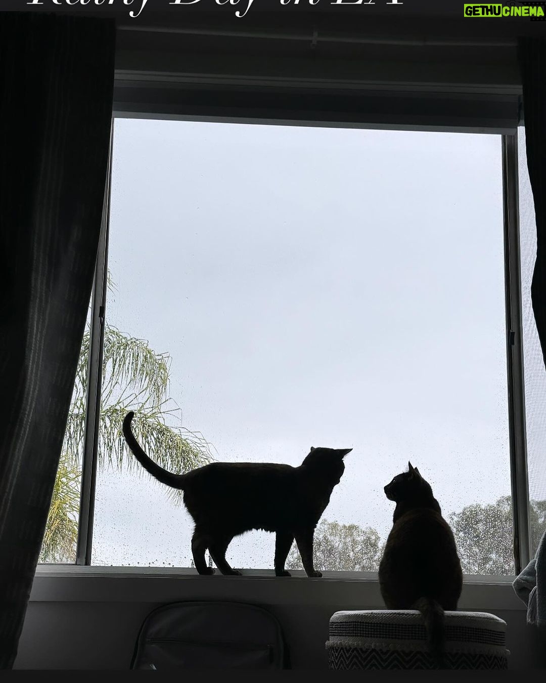 Kristen Taekman Instagram - Photo Dump from the week - Kingsleys birthday- universal studios - we adopted 2 kitties - last week of HS soccer and more!! Los Angeles, California