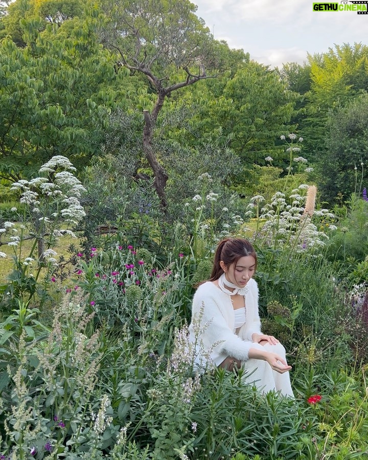 Krongkwan Nakornthap Instagram - just your local garden fairy 🍀 Yoyogi Park 代々木公園