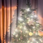 Krongkwan Nakornthap Instagram - have a holly jolly christmas, xoxo