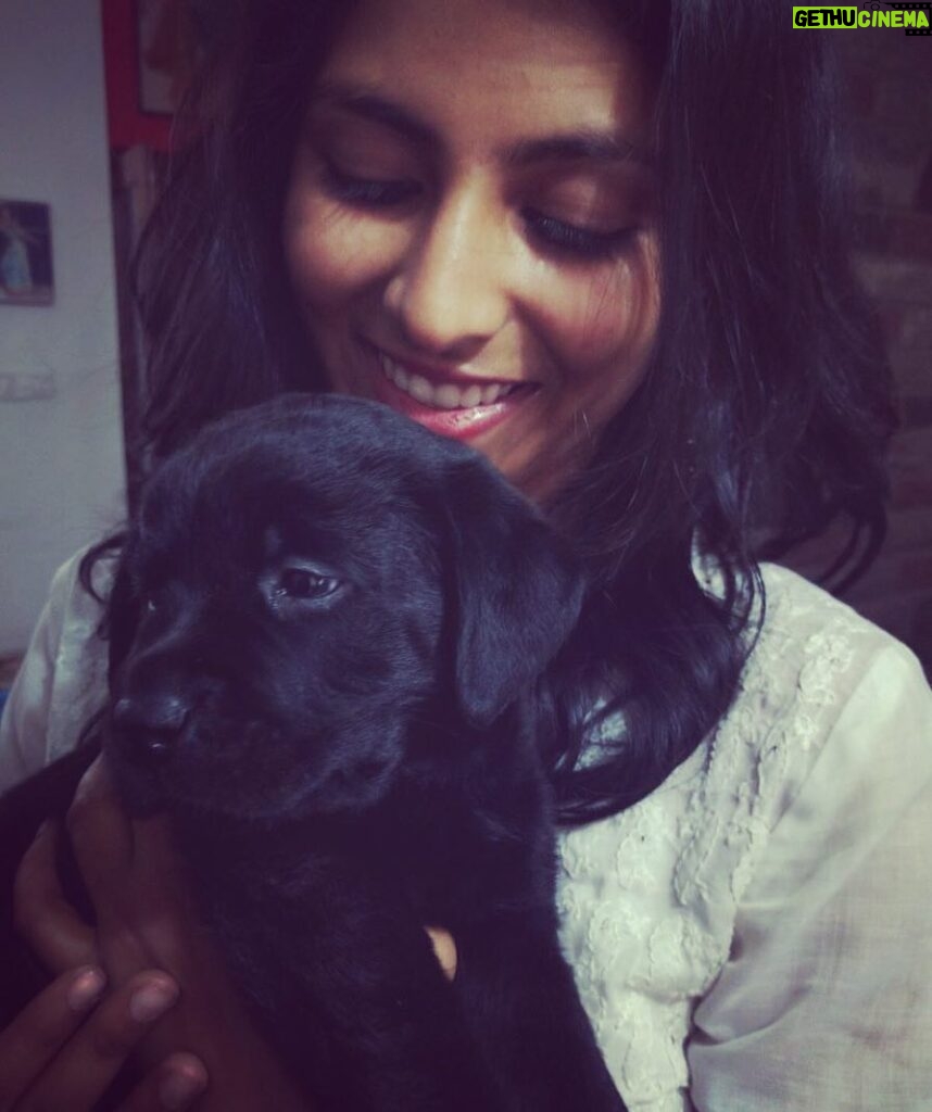 Kruthika Jayakumar Instagram - #throwback to when Ollie was cute and harmless @sagarikaa_r 😂