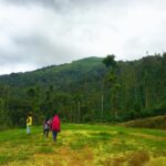 Kruthika Jayakumar Instagram - Green is graceful 🌿 #sopeaceful #nature #roadtrip #lovingggg Coorg